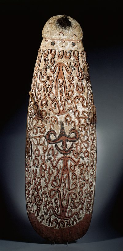 Ovale Asmat-schild, gesneden in reliëf met scrollende ornamenten met sterk gestileerde figuren, gevlochten kwastjes aan de rand door Guinean New