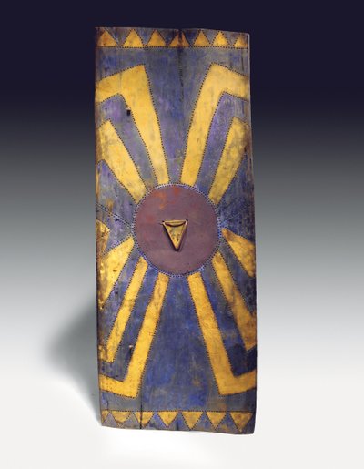 Rechthoekig schild uit de Hooglanden van Nieuw-Guinea door Guinean New