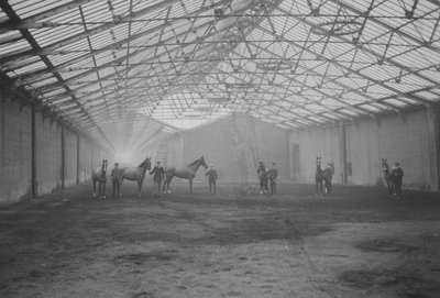 Paarden en stalknechten in de Tan Gallop, Welbeck Estate door Gunn and Stuart