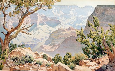 Grand Canyon door Gunnar Widforss