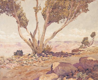 Grand Canyon door Gunnar Widforss