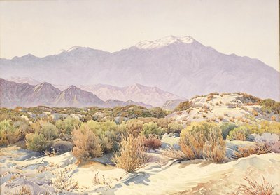San Jacinto door Gunnar Widforss