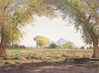 De Salt River Valley door Gunnar Widforss
