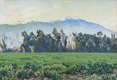 De Sierra Nevada Bergen door Gunnar Widforss
