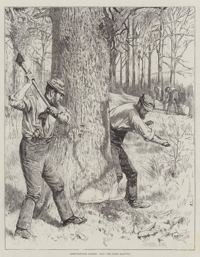 Landbouwscènes, Mei, de Schorsoogst door Gunning King