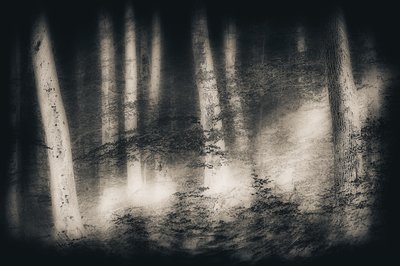  door Gustav Davidsson