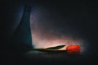  door Gustav Davidsson