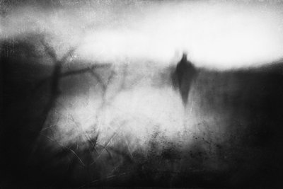  door Gustav Davidsson