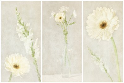 Zachte witte bloesems door Gustav Davidsson