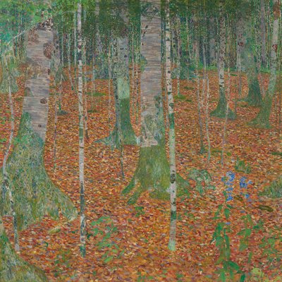 Berkenbos door Gustav Klimt
