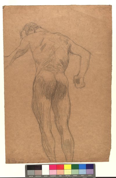 Männlicher Rückenakt in Untersicht door Gustav Klimt