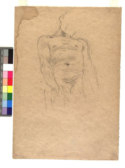 Mannelijke torso door Gustav Klimt