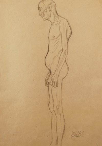 Naakte man naar links door Gustav Klimt