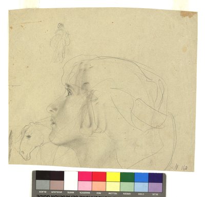Weiblicher Kopf im Profil nach links, Pferdekopf im Profil, Figurenstudie door Gustav Klimt