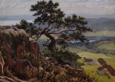 Uitzicht over Vardåsen door Gustav Wentzel