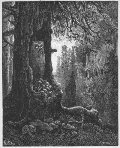 Les souris et le chat-huant - De muizen en de uil - uit 
