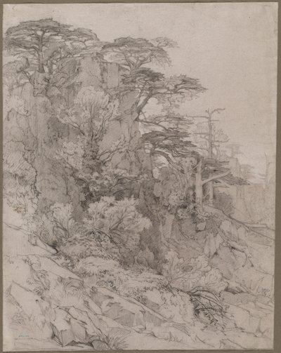 Bomen van een Rotsachtige Heuvel door Gustave Achille Guillaumet