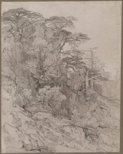 Bomen op een rotsachtige heuvel door Gustave Achille Guillaumet