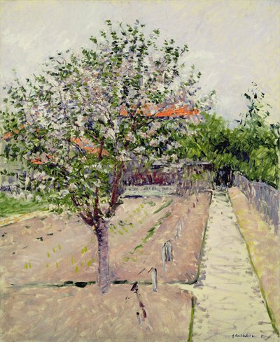 Appelboom in bloei, c.1885 door Gustave Caillebotte