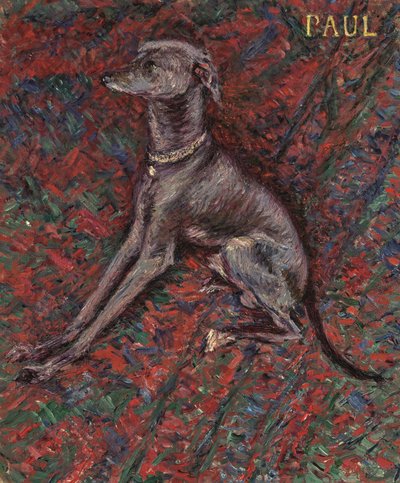 De hond 