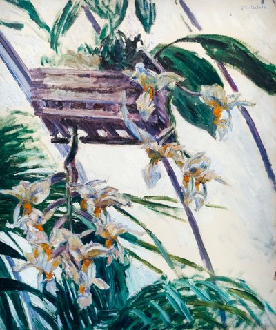 Orchideeën door Gustave Caillebotte