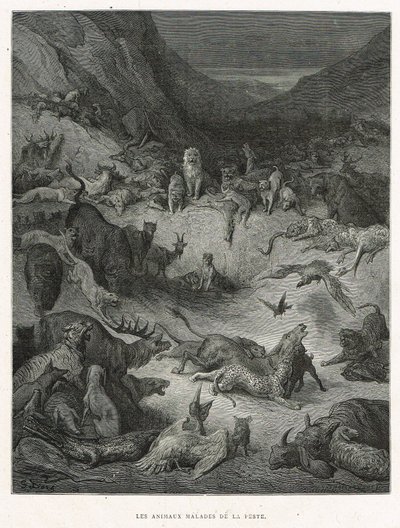 Dieren ziek van de pest door Gustave Dore