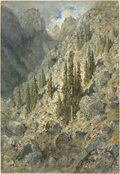 Een Alpenvallei met Bomen en Rotsblokken door Gustave Dore