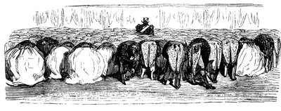 Geschiedenis van Heilig Rusland. Een groot bal in het Winterpaleis, 1854 door Gustave Dore