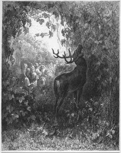 Het hert en de wijnstok - uit "Fabels" van Jean de La Fontaine door Gustave Dore