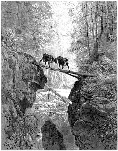 Les deux chèvres: fabel van Jean de la Fontaine geïllustreerd door Gustave Dore - bos, stroom, stroom - door Gustave Dore