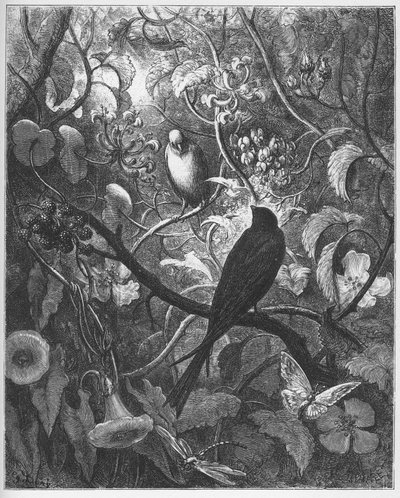 Philomele en Progne - uit "Fabels" van Jean de La Fontaine door Gustave Dore