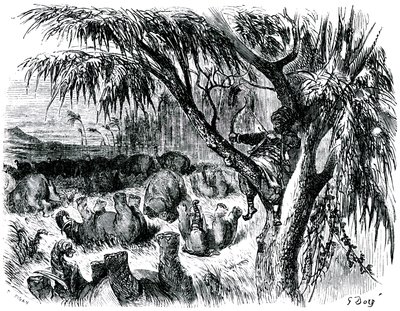 Sindbad de zeeman - verhaal van de duizend-en-een-nacht - illustratie door Gustave Doré - editie Maxwell 1865 - Zevende reis: Sindbad, zittend in een boom, schiet met zijn boog op olifanten door Gustave Dore