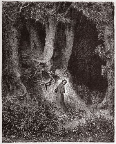 De Goddelijke Komedie (La Divina Commedia), Inferno, Canto 1: Dante in het wilde bos - door Dante Alighieri (1265-1321) - Illustratie door Gustave Doré (1832-1883) door Gustave Dore