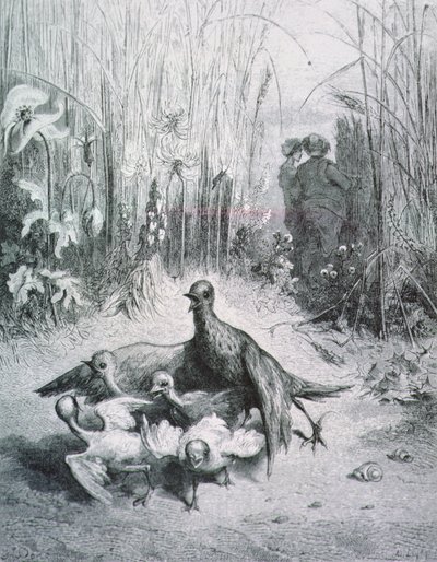 De fabel van de leeuwerik, haar jongen en de meester van het veld, illustratie voor de Fabels van La Fontaine door Gustave Dore