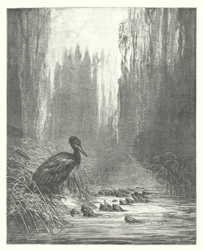 De Fabels van La Fontaine: De Aalscholver en de Vissen door Gustave Dore