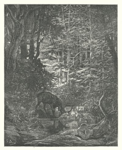 De Fabels van La Fontaine: Het Hert dat zichzelf in de Stroom Bekijkt door Gustave Dore