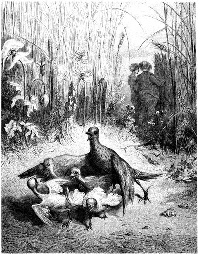De leeuwerik en zijn jongen met de meester van een veld: fabel van Jean de la Fontaine geïllustreerd door Gustave Doré door Gustave Dore