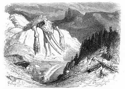 Gravure door Gustave Doré rond 1850: evocatie van een apocalyptische zondvloed waarbij verschillende monsterlijke dieren op de berg zijn gevallen. Illustratie van het boek van Hippolyte Taine "Reis naar de Pyreneeën", waarin de aanwezigheid van fossiele bo door Gustave Dore