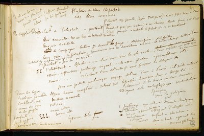 Folio 41 van werkboek nr. 19 Manuscriptpagina van Gustave Flauberts concepten. Plannen voor Bouvard en Pecuchet. BHVP door Gustave Flaubert