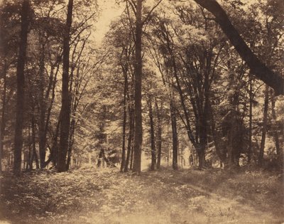 Bos Scène door Gustave Le Gray