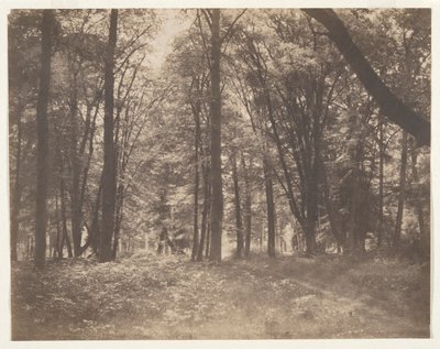 Het bos van Fontainebleau door Gustave Le Gray
