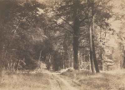 Pad in het bos van Fontainbleau door Gustave Le Gray