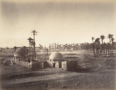 Uitzicht op de Vlakte van Thebe genomen vanaf de tempel van Karnak, 1867 door Gustave Le Gray