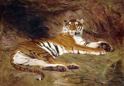 Een Liggende Tijger door Gustave Surand