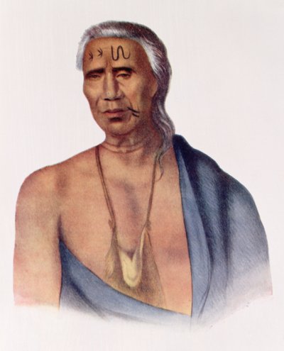 Lap-Pa-Win-Soe, een Delaware Chief, illustratie uit 