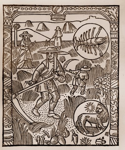 Herderkalender - De Arbeid van de Maanden - Juli - Houtsnede uit het boek van 1496 gedrukt door Guy Marchant (Guido Mercator) in Troyes - Hooien, het maaien van hooi - Houtsnede in 