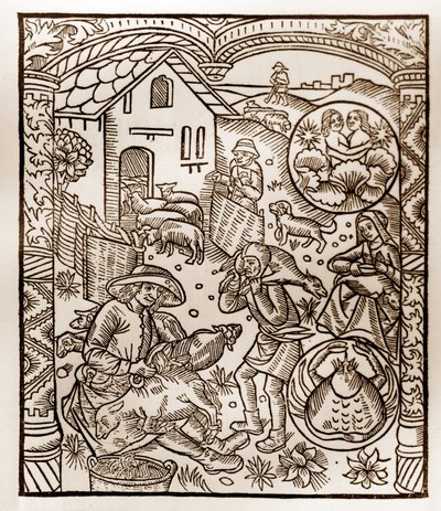 Herderkalender - De Arbeid van de Maanden - Juni - Houtsnede uit het boek van 1496 gedrukt door Guy Marchant (Guido Mercator) in Troyes - Houtsnede in 