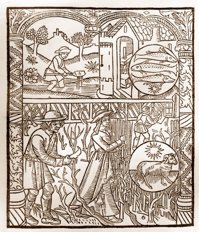 Herderkalender - De Arbeid van de Maanden - Maart - Houtsnede uit het boek van 1496 gedrukt door Guy Marchant (Guido Mercator) in Troyes - Houtsnede in 