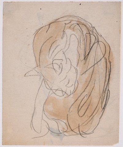 Kattenstudies door Gwen John