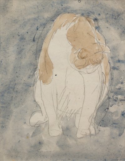 Studie van een kat, ca. 1910-20 (aquarel en grafietpotlood op papier) door Gwen John
